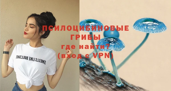 гидропоника Кукмор