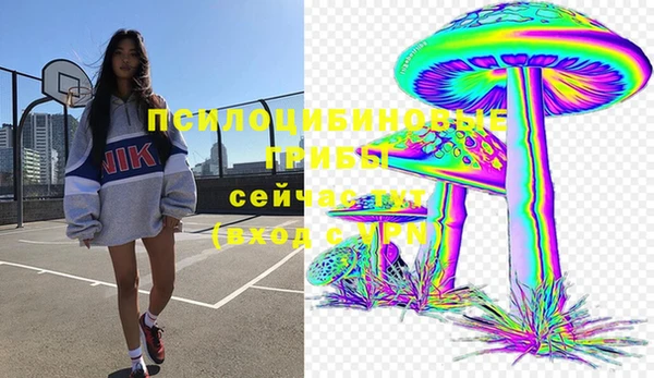 a pvp Кулебаки
