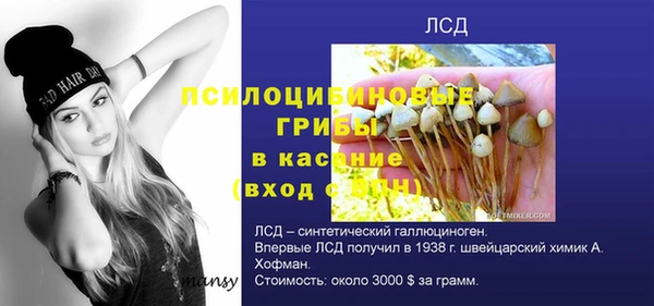 a pvp Кулебаки