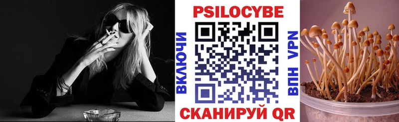 мега ТОР  закладка  Серов  Псилоцибиновые грибы Cubensis 