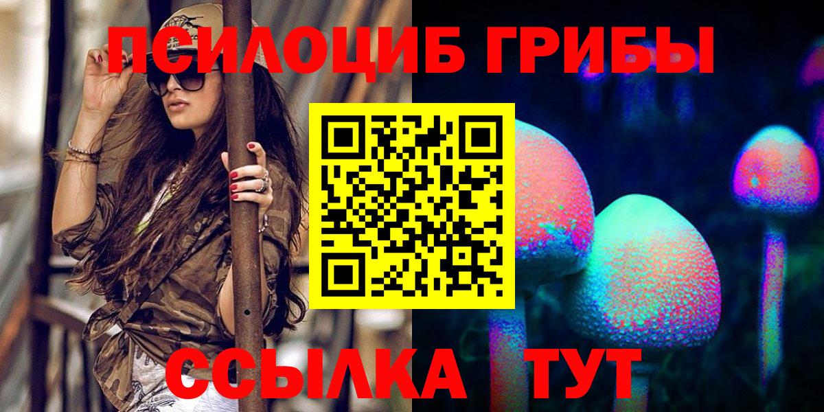 Серов  Галлюциногенные грибы Psilocybine cubensis  Вход с VPN 
